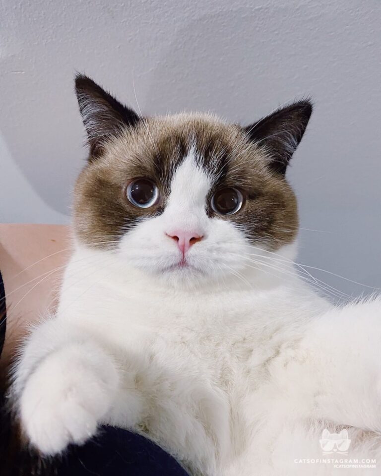 How can you say no to me