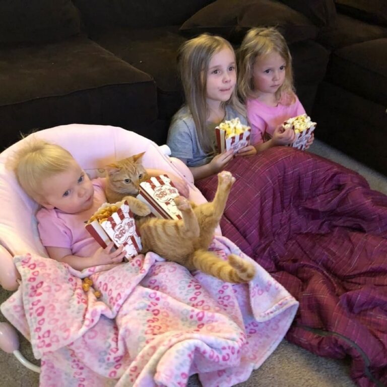 Movie night