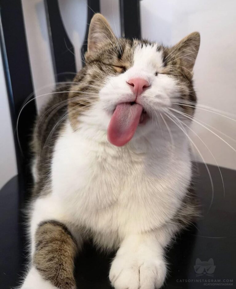 A face that will brighten up your day.