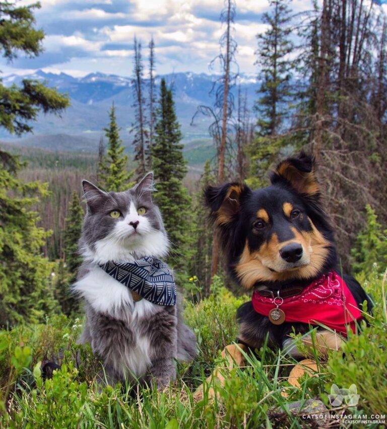“Excuse us? Yes, hello… Does anyone know where we can submi