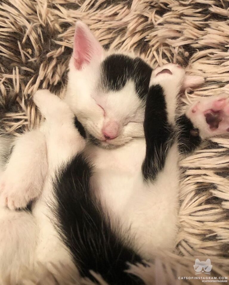 I wish I could sleep this soundly