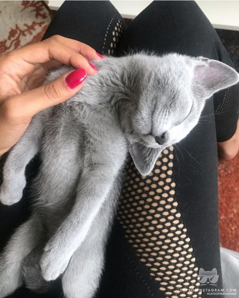 Post Christmas mood