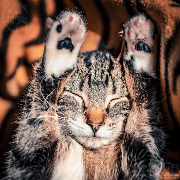 Just Chilling