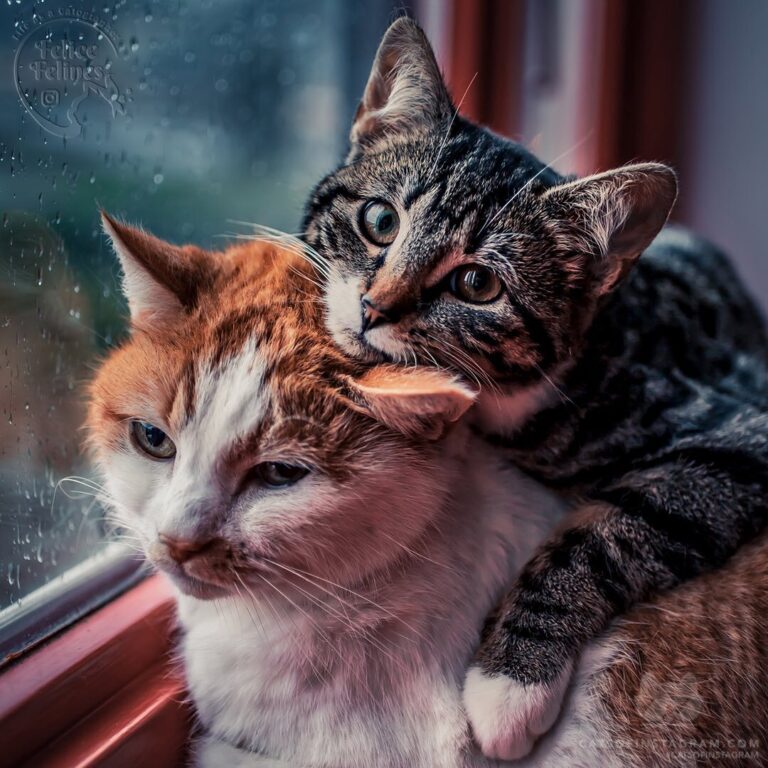 The best way to spend rainy days