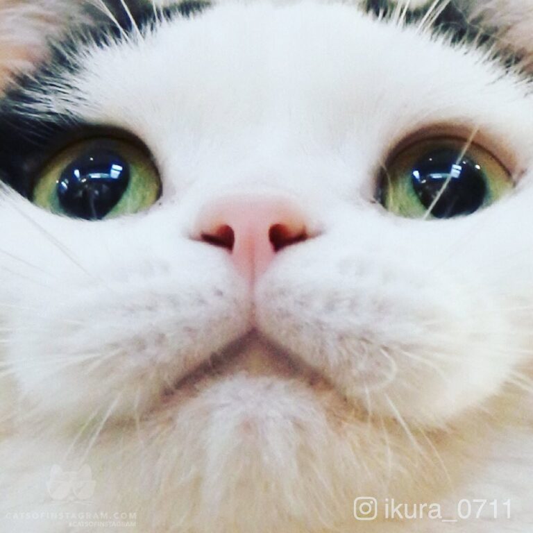 Cuteness overload