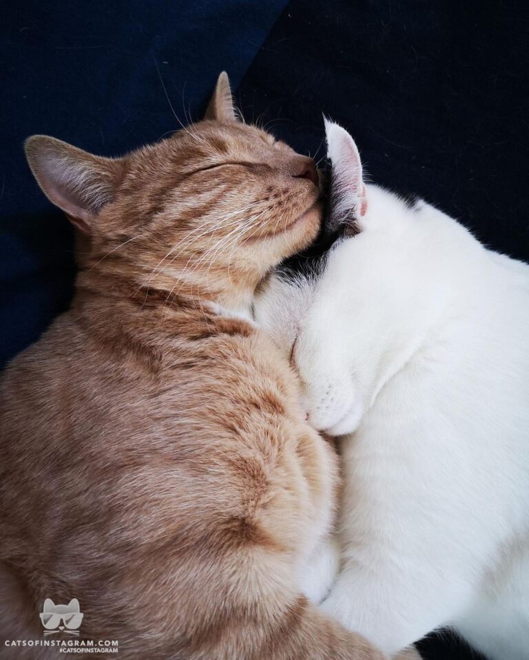 Spend quarrantine hours with your loved ones.