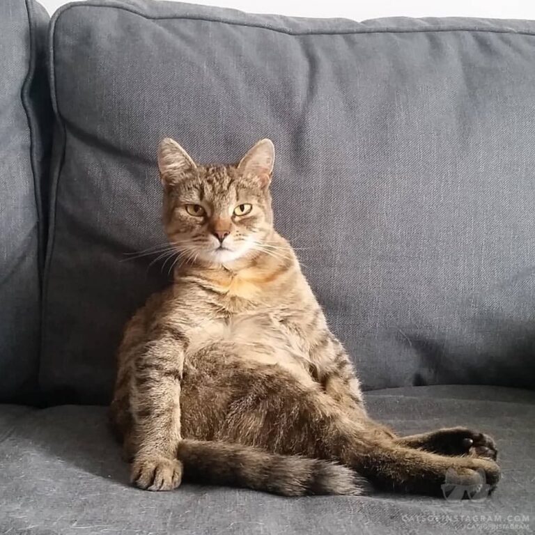 Bebisia knows how to put a** in sass.