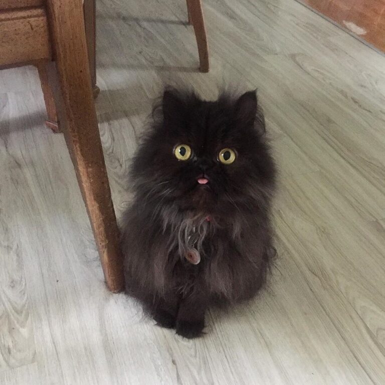 Monday morning bleps
