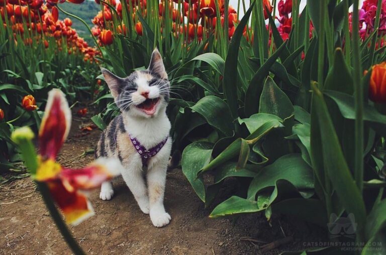 This picture never fails to make me smile
