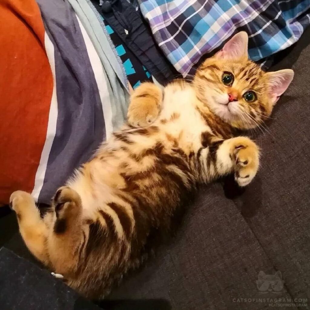 Ready to melt hearts!