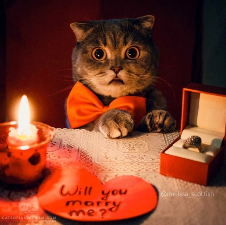 Be my Valentine! Tag your beloved
