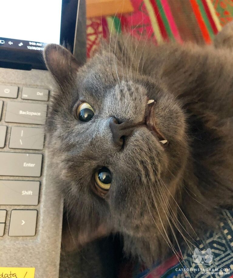 “Workday feels. If you’re ever in a rut in the office, jus