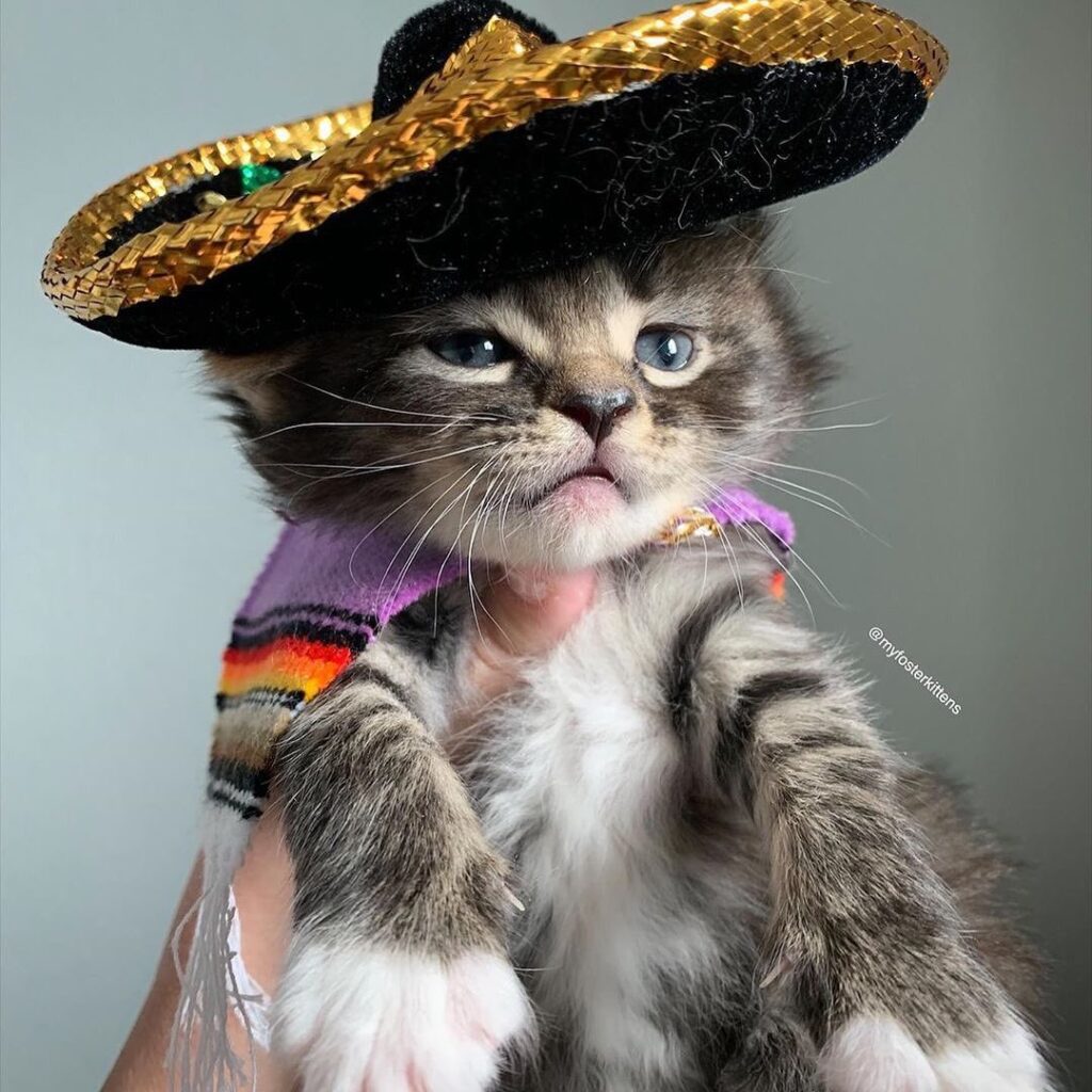 Arriba! Viva Leticia!