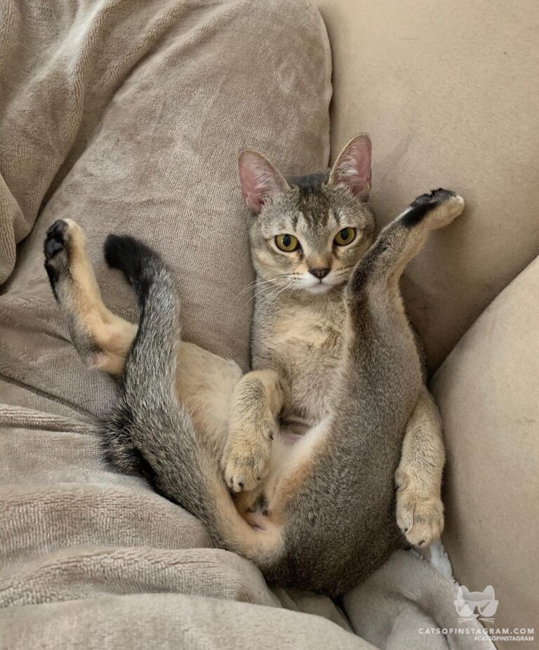 I’m just relaxing ! Stop looking