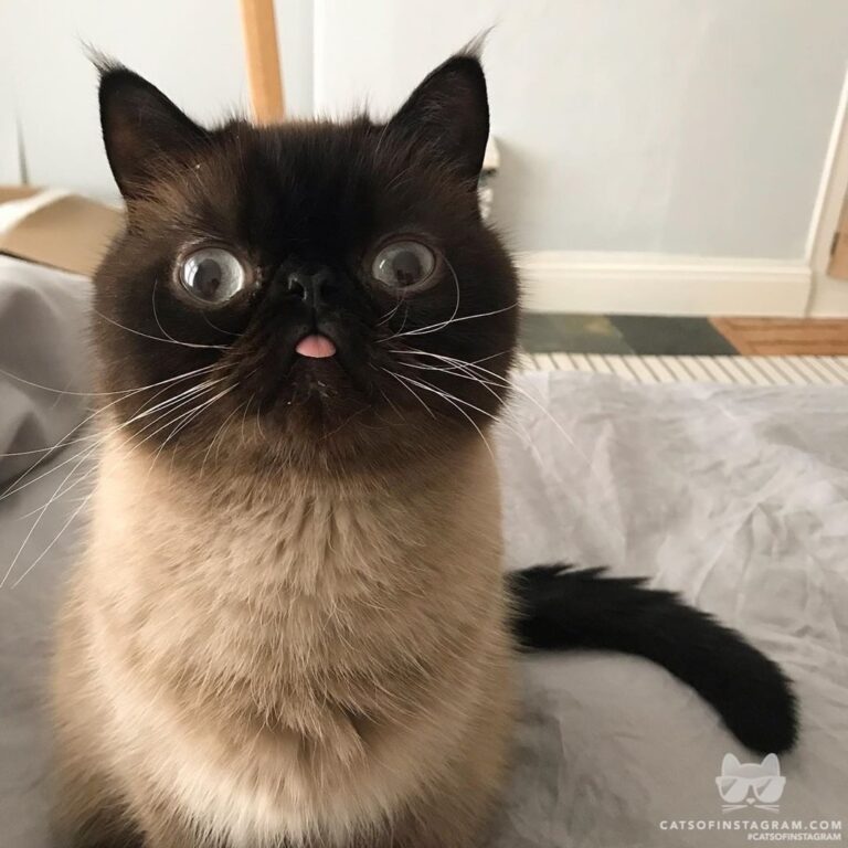 Intense wake up call..