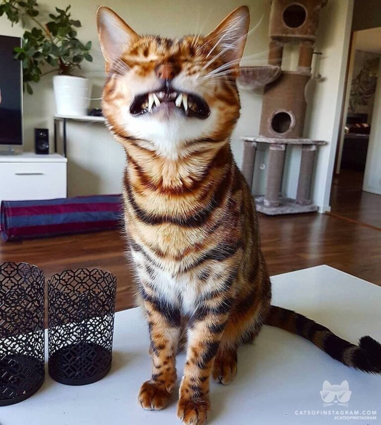 That feeling when you realise it’s friyay tomorrow!