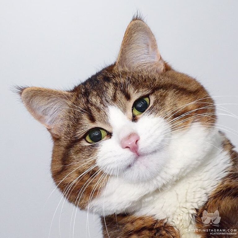 “When you accidentally open the front camera but it’s ok because
