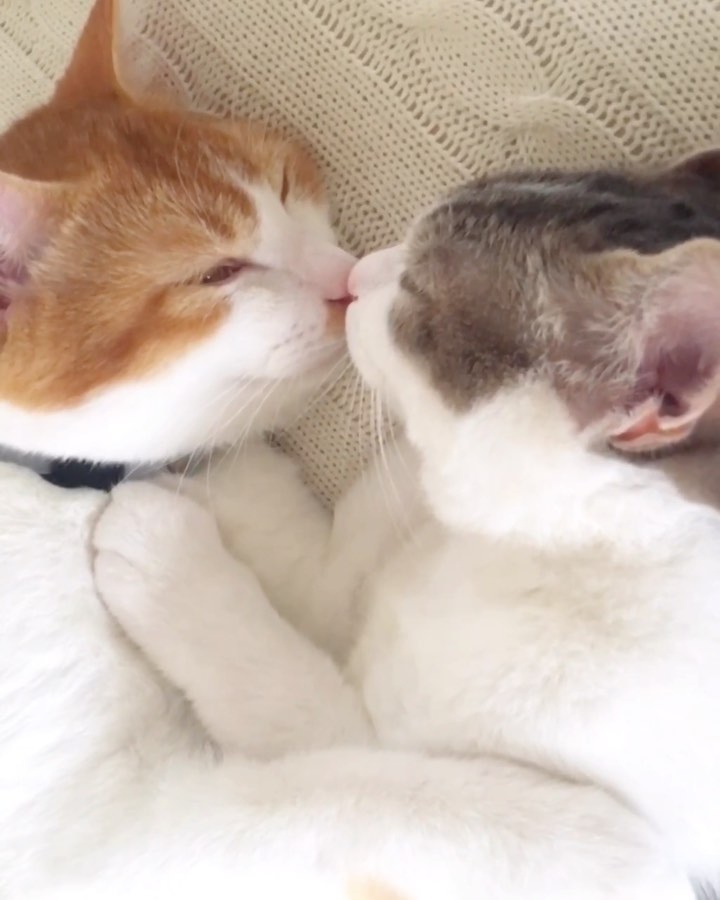 I only have eyes for you.