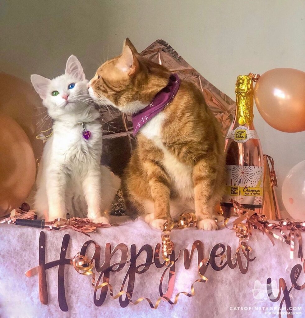 Happy New Year 2020!