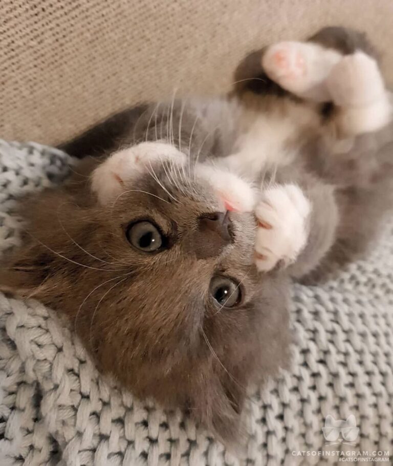 Felt cute, might delete later.