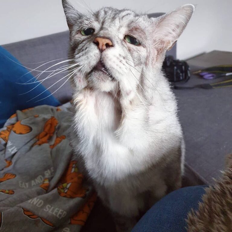“Mum, Can i has some strokes? *swipe* That’s the strokes