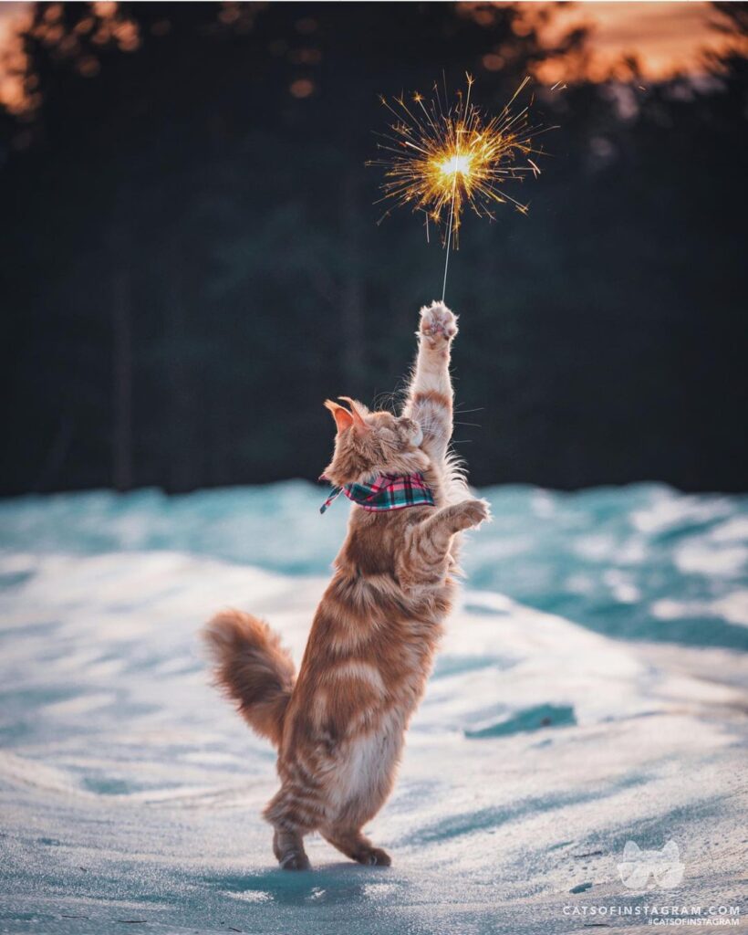 Happy new year