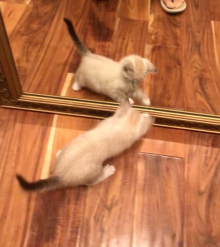 Seriously…where did he go?!?!