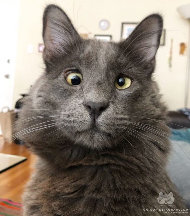 “Posing for my passport picture. You think countries will