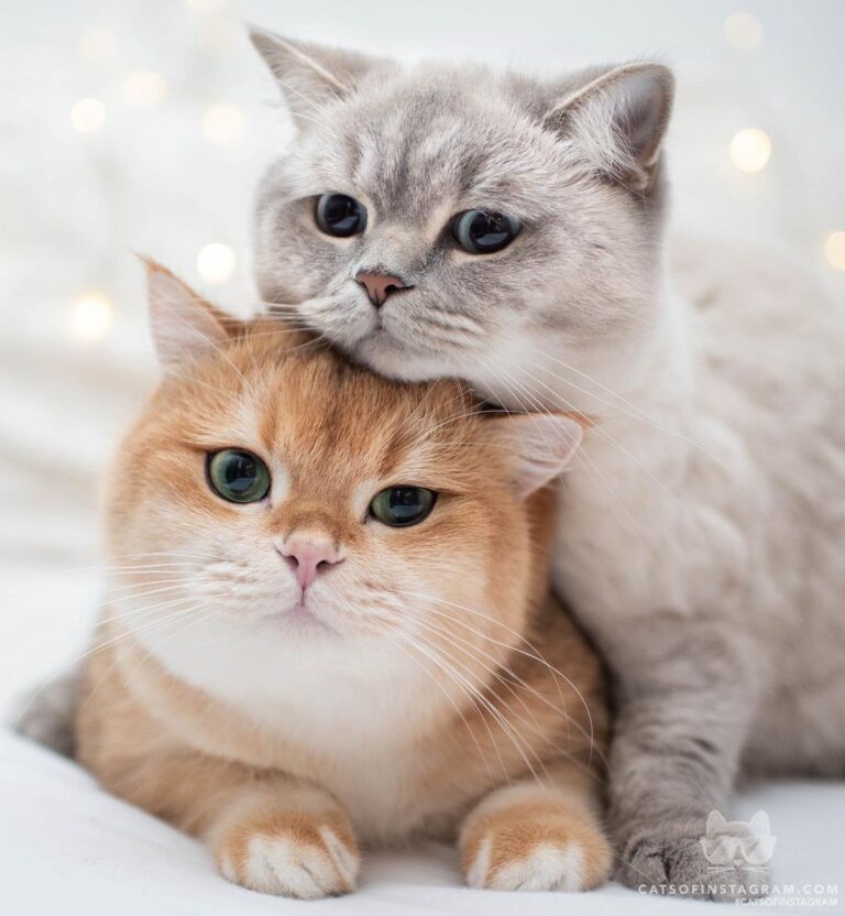 Can’t resist these faces