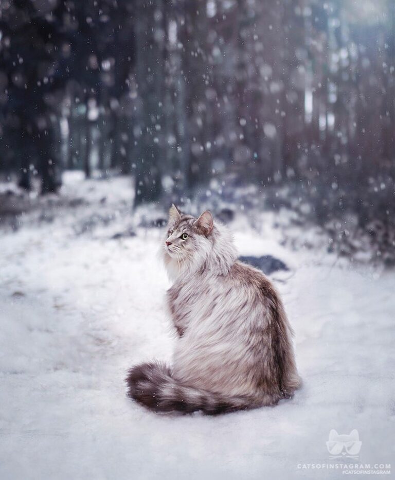 Winter is coming