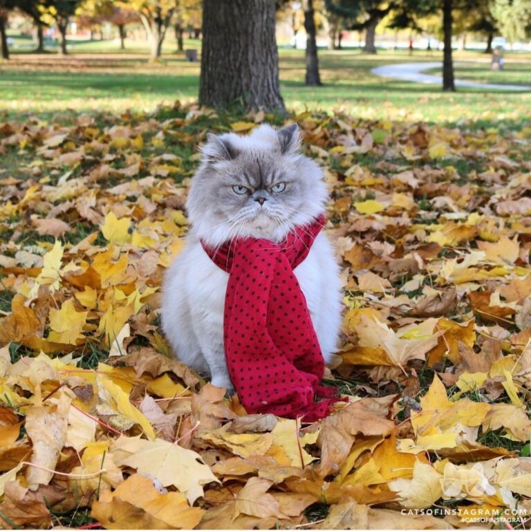 “If you didn’t already know what day it was, you’re welcome….