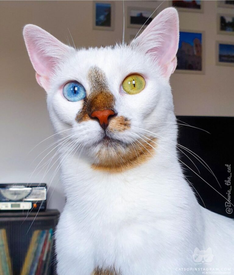“I’ve just checked you browser history… Why are you loo