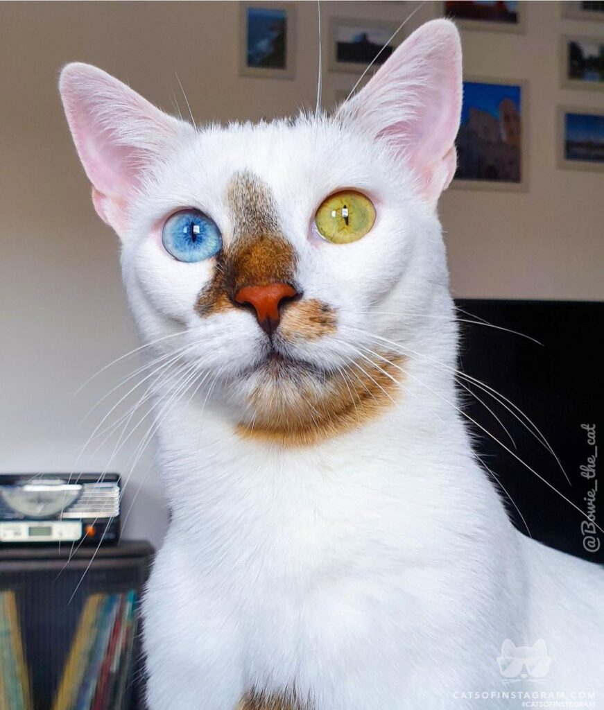 “I’ve just checked you browser history… Why are you loo
