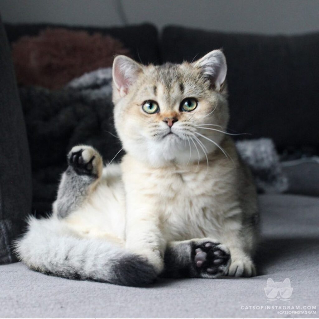 Is this how ladies sit?
