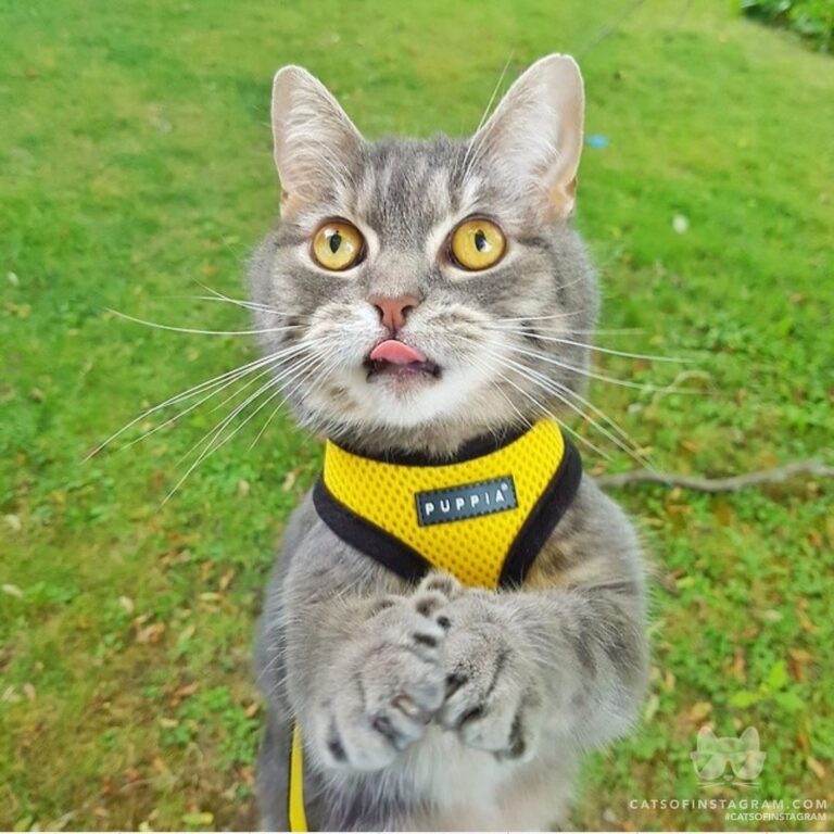Can I have some of that
