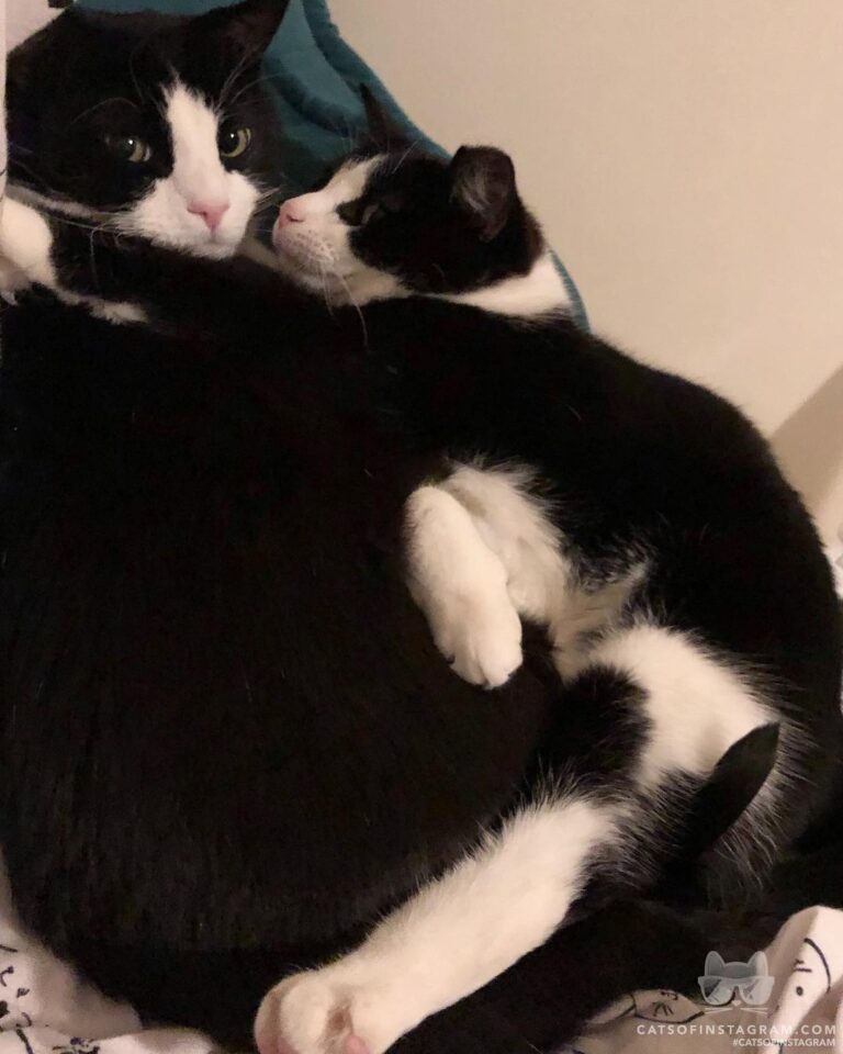 Help! I’ve got a Stage 5 clinger here!