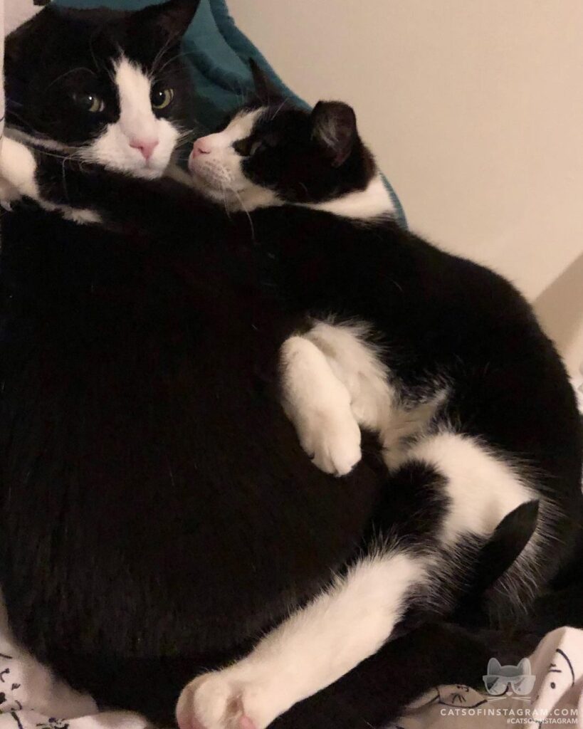 Help! I’ve got a Stage 5 clinger here!
