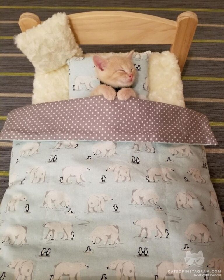 “When it’s finally cold enough to sleep under blankets