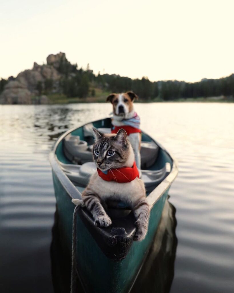 Captain Baloo + his First Mate Henry