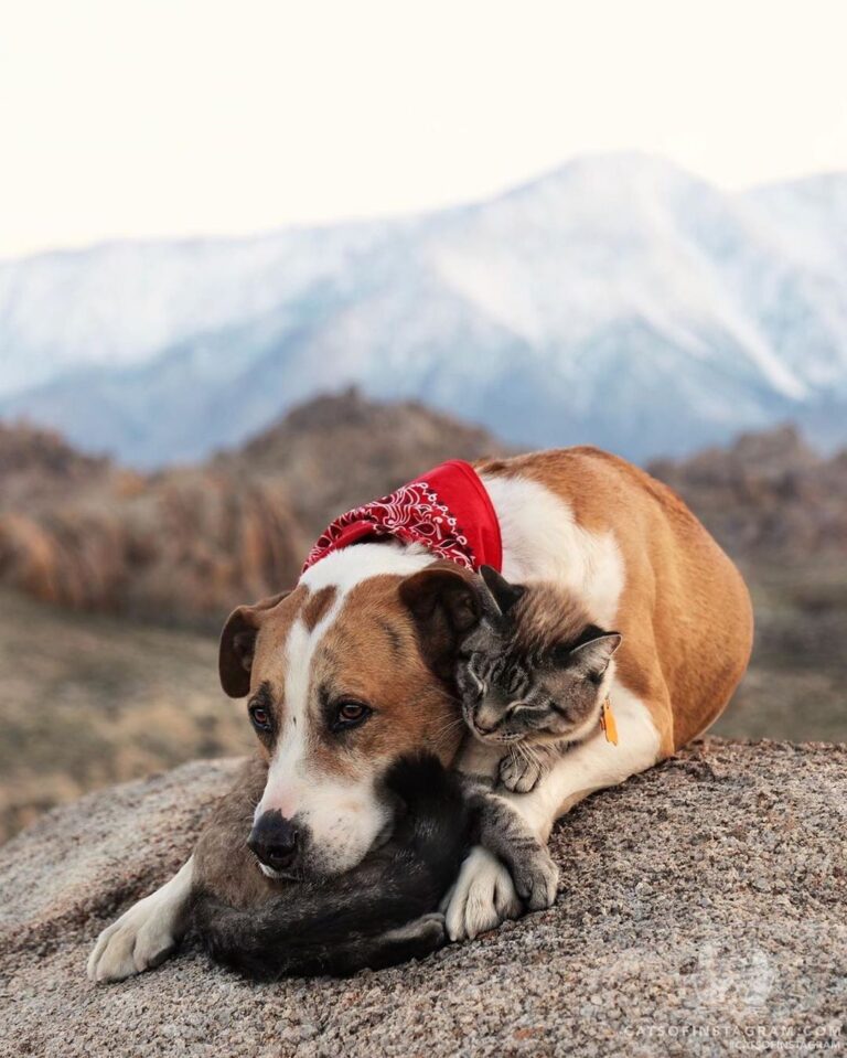 Hold me close & never let me go.