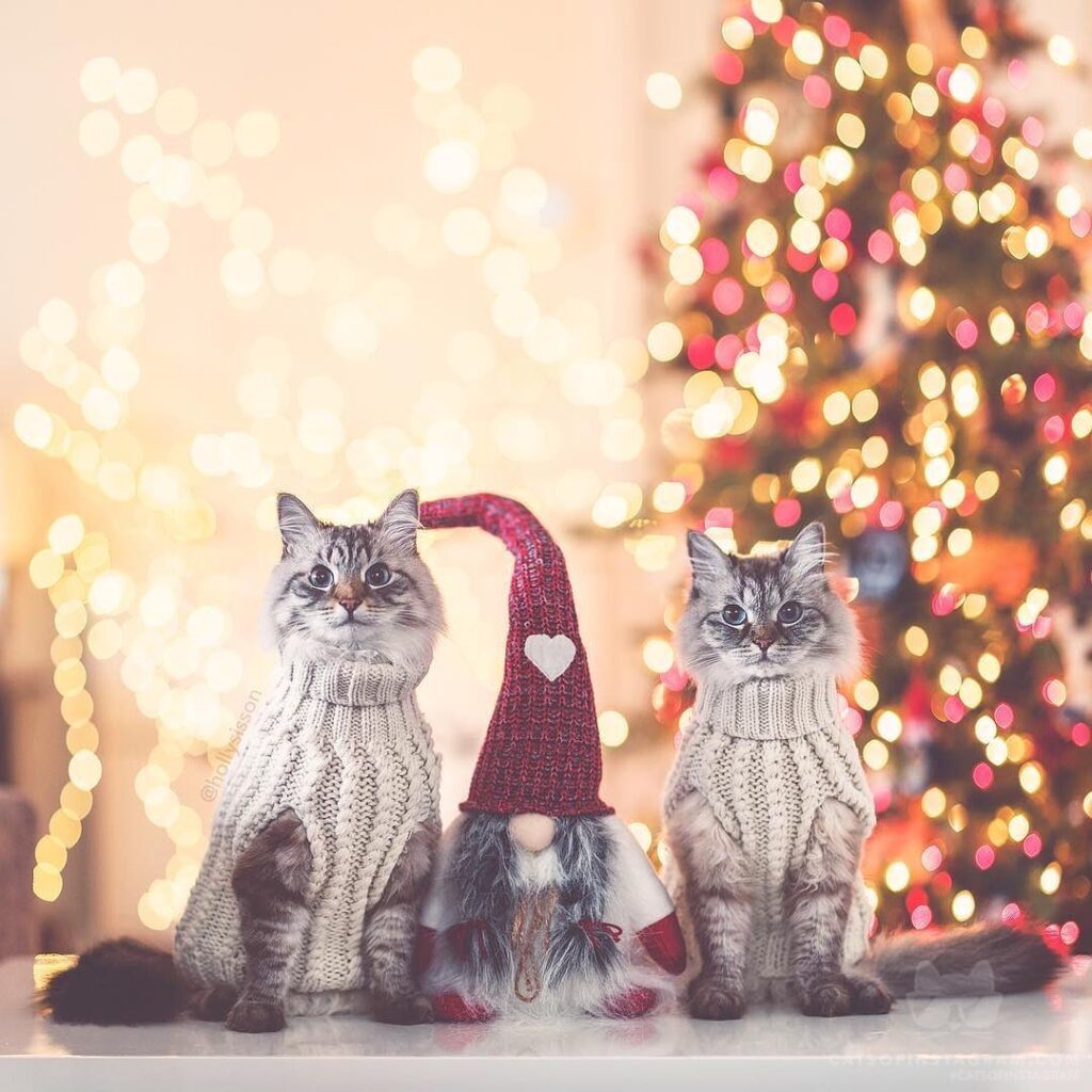 “Squad goals for the holidays! (: @hollysisson; See more of