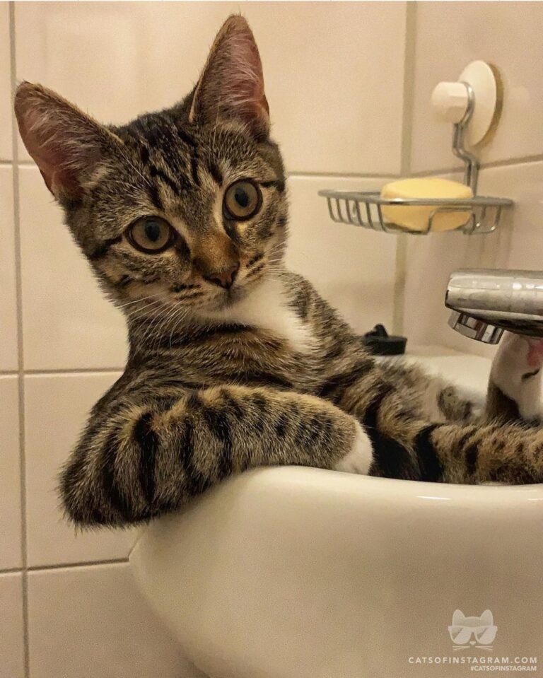 Hey, how you doin’?