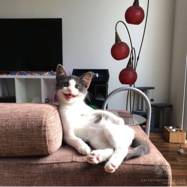 Did someone say food