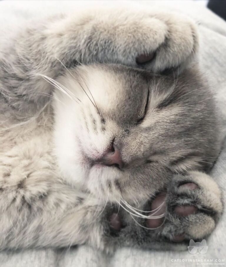 Eat, sleep, and repeat.