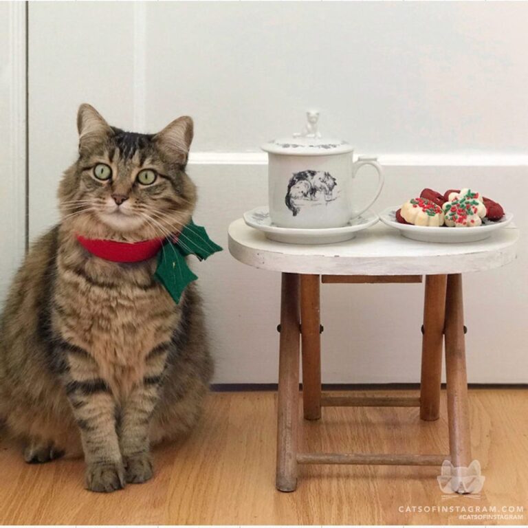 Don’t forget to leave milk and cookies for Santa