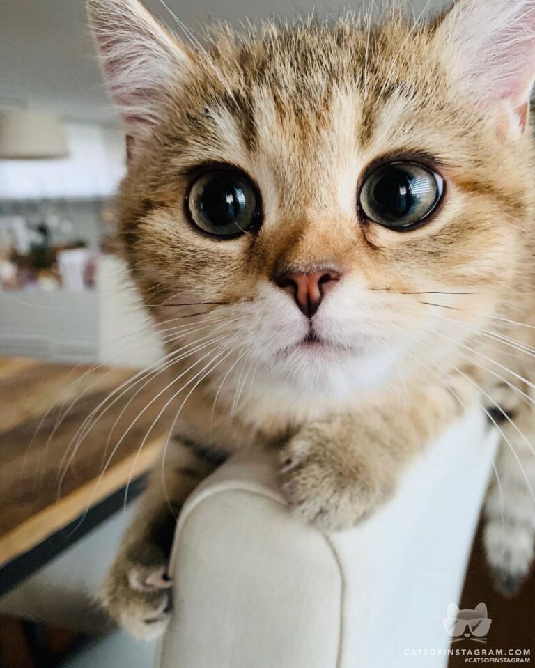 Lashes on fleek!