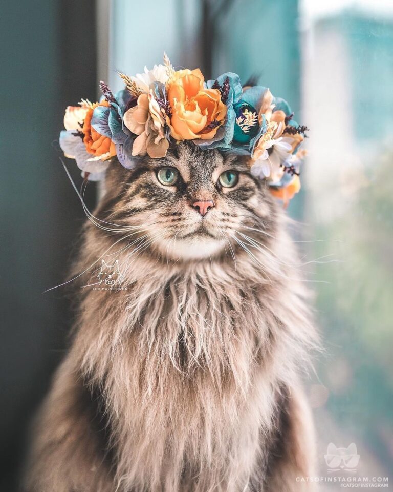 Leo belongs on a magazine cover.