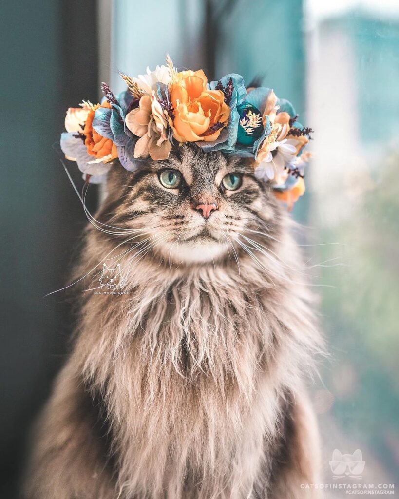 Leo belongs on a magazine cover.