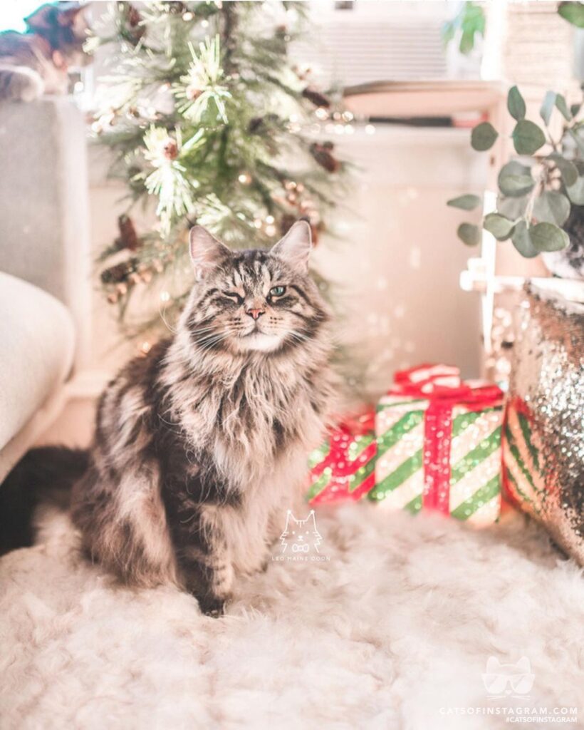 Happy holidays folks!