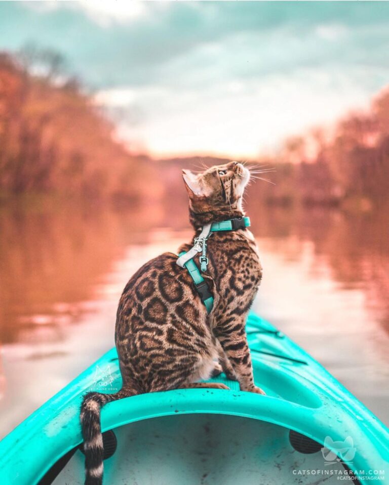 Ready for an autumn adventure